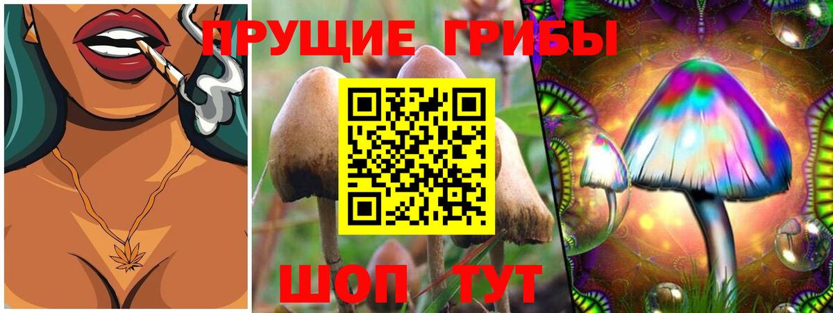 Севастополь  Галлюциногенные грибы Cubensis  Галлюциногенные грибы GOLDEN TEACHER  купить наркотики сайты  Вход с VPN 